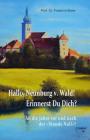 Cover Hallo, Neunburg v. Wald! Erinnerst Du Dich?